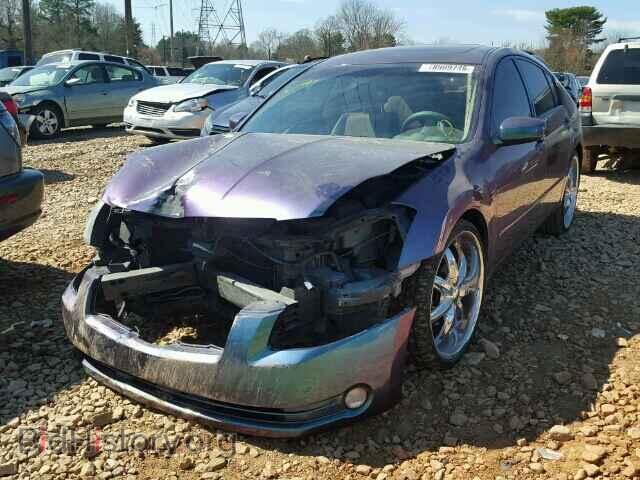 2005 NISSAN MAXIMA - VIN: 1N4BA41E05C814569 - Фото 2