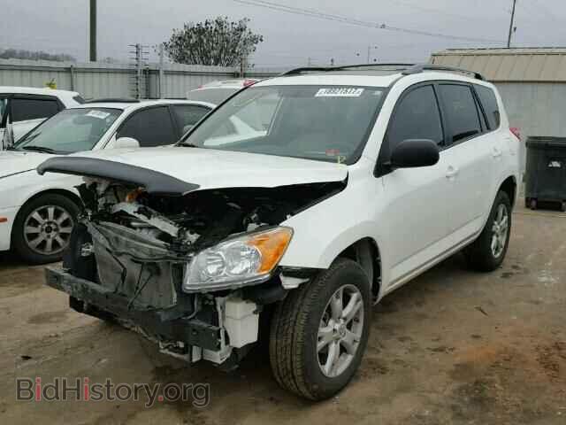 2012 TOYOTA RAV4 - VIN: 2T3BF4DV3CW204246 - Фото 2