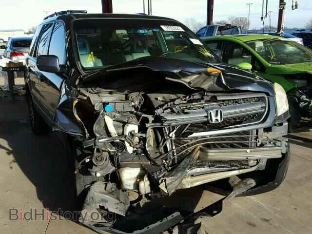 Фотография 5FNYF18615B031590 - HONDA PILOT 2005