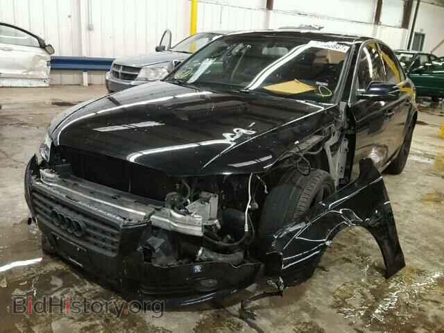 2010 AUDI A4 - VIN: WAUEFAFL0AN068859 - Фото 2