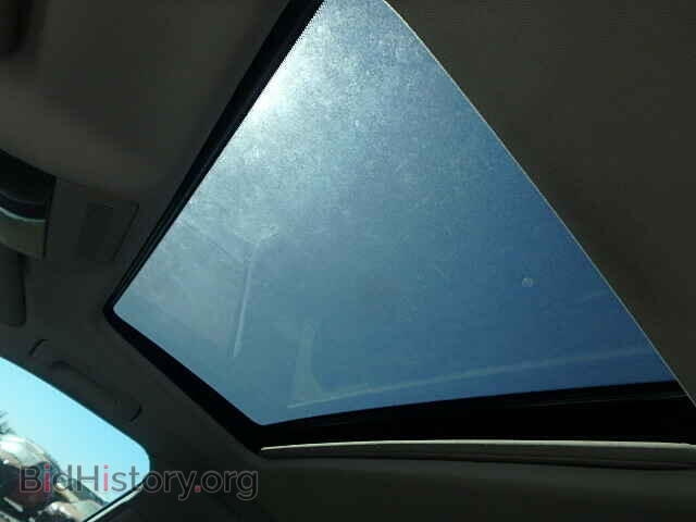 2006 AUDI A4 - VIN: WAUDF78EX6A135494 - Фото 9