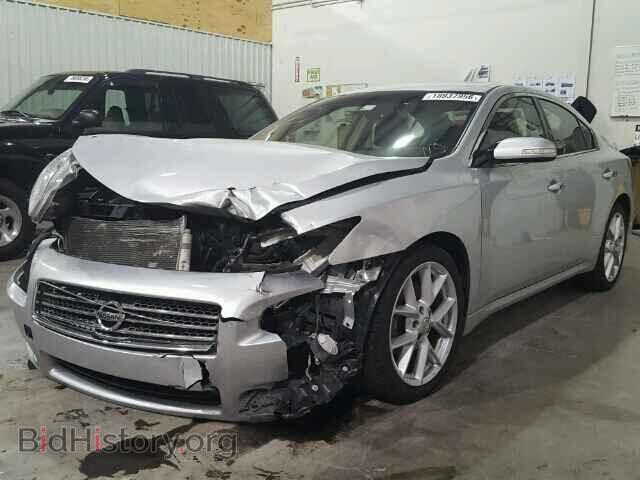 2009 NISSAN MAXIMA - VIN: 1N4AA51E29C830487 - Фото 2