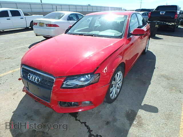 2010 AUDI A4 - VIN: WAUFFAFL5AN038132 - Фото 2