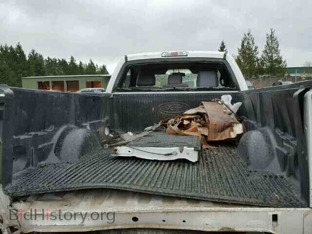 2013 FORD F150 - VIN: 1FTMF1CM2DKE71517 - Фото 6