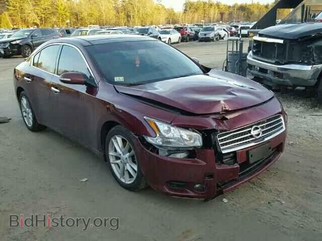 Фотография 1N4AA5AP3AC835901 - NISSAN MAXIMA 2010