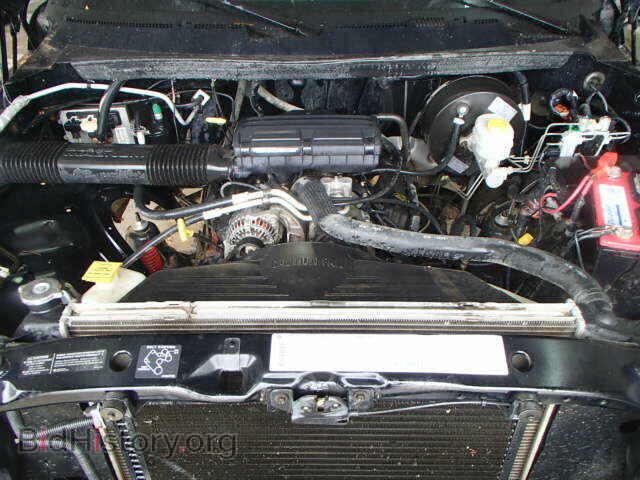 1998 DODGE RAM 1500 - VIN: 1B7HF16Z0WS761556 - Фото 7