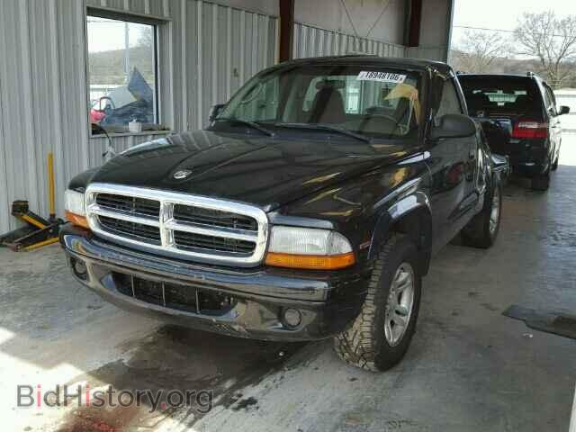 2004 DODGE DAKOTA - VIN: 1D7FL16K24S559677 - Фото 2