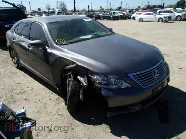 Фотография JTHGL5EF4C5046243 - LEXUS LS460 2012