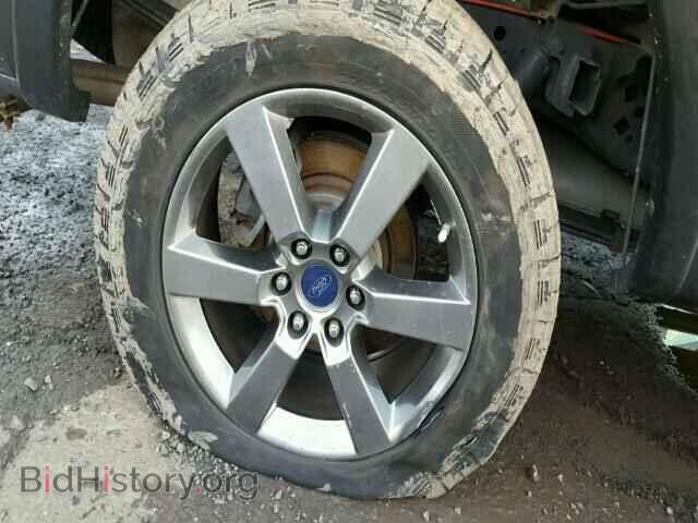 2013 FORD F150 - VIN: 1FTFW1ET2DFD42876 - Фото 10