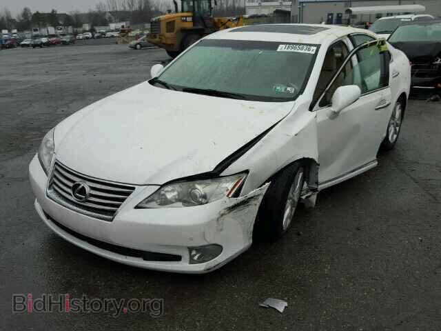 2011 LEXUS ES350 - VIN: JTHBK1EG4B2427606 - Фото 2