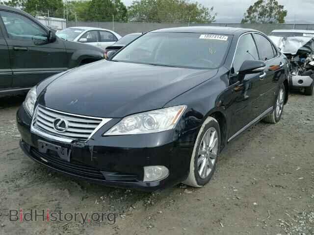 2010 LEXUS ES350 - VIN: JTHBK1EG2A2408213 - Фото 2