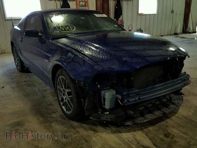 Photo 1ZVBP8AMXE5280974 - FORD MUSTANG 2014