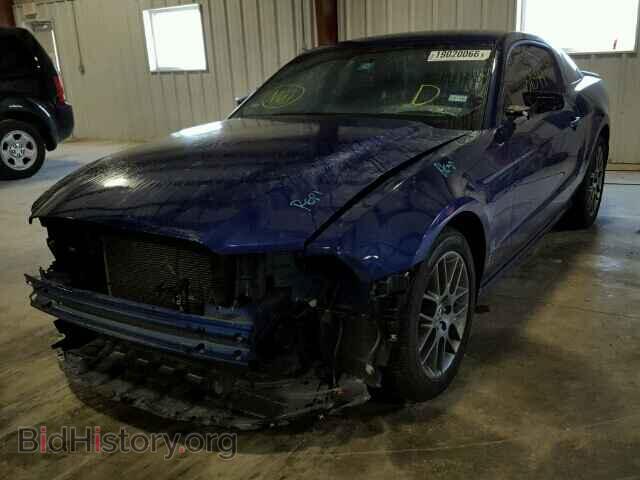 2014 FORD MUSTANG - VIN: 1ZVBP8AMXE5280974 - Фото 2
