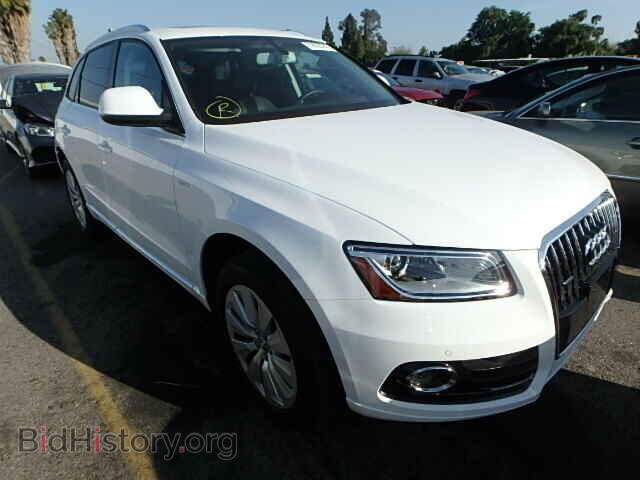 Фотография WA1C8AFP3DA005333 - AUDI Q5 2013