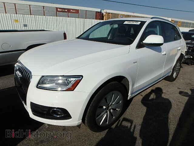 2013 AUDI Q5 - VIN: WA1C8AFP3DA005333 - Фото 2