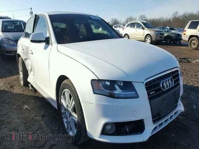 Фотография WAUBFAFL5AN009986 - AUDI A4 2010