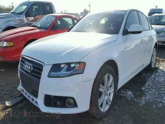 2010 AUDI A4 - VIN: WAUBFAFL5AN009986 - Фото 2