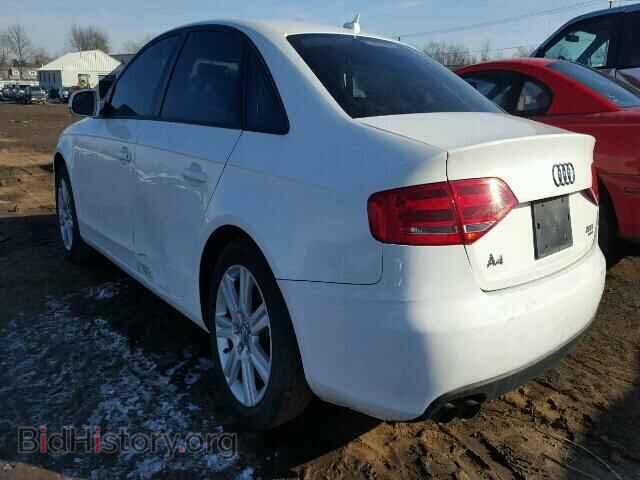 2010 AUDI A4 - VIN: WAUBFAFL5AN009986 - Фото 3