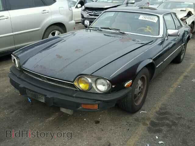 1976 JAGUAR XJS - VIN: UG2W50390 - Фото 2