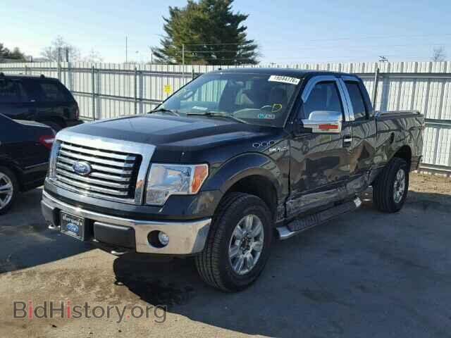 2011 FORD F150 - VIN: 1FTFX1EF7BFA82270 - Фото 2