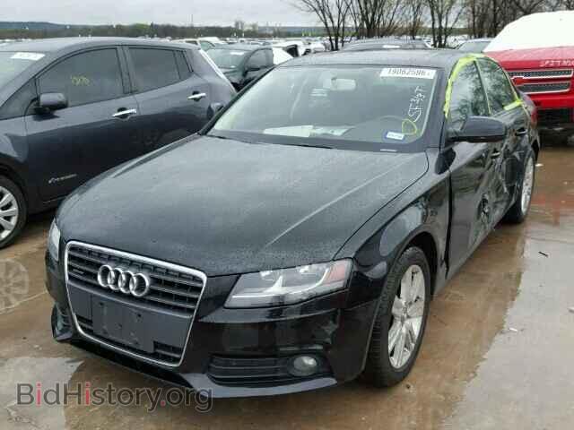 2010 AUDI A4 - VIN: WAUBFAFL0AN025352 - Фото 2