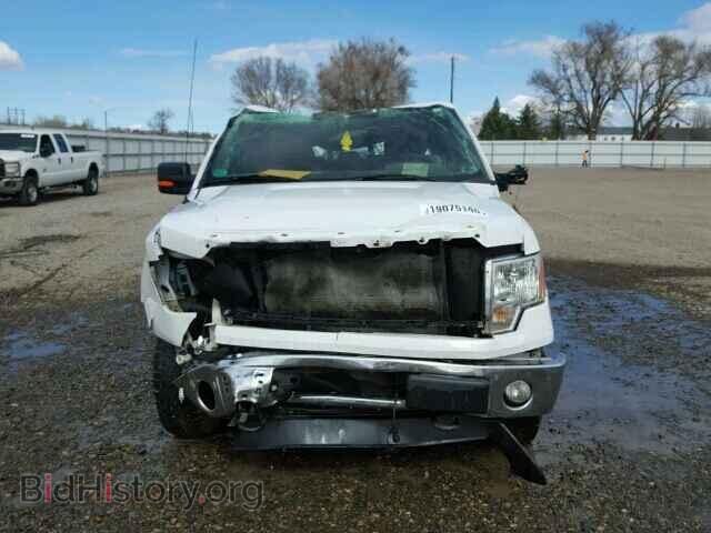 2013 FORD F150 - VIN: 1FTFW1EF3DFD70261 - Фото 10