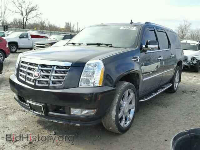 2011 CADILLAC ESCALADE - VIN: 1GYS4HEF3BR283477 - Фото 2