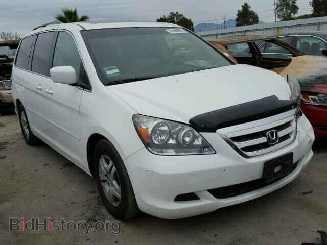 Photo 5FNRL387X5B053525 - HONDA ODYSSEY 2005