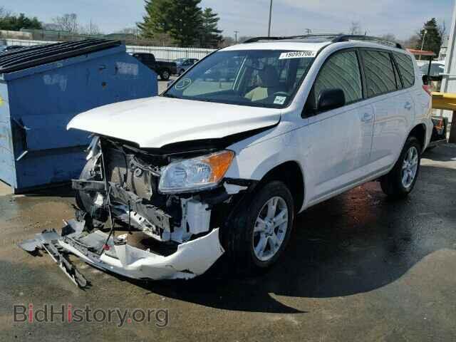 2012 TOYOTA RAV4 - VIN: 2T3BF4DV4CW248093 - Фото 2