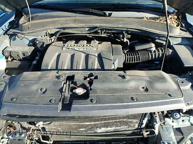 2005 HONDA PILOT - VIN: 5FNYF18555B020552 - Фото 7