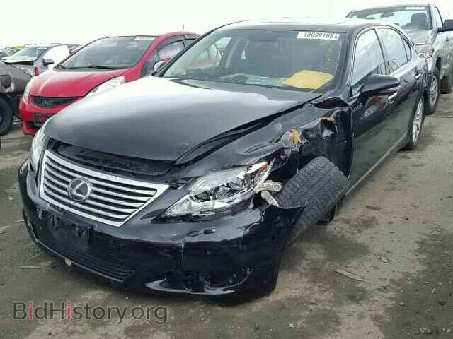 2011 LEXUS LS460 - VIN: JTHGL1EF1B5043176 - Photo 2