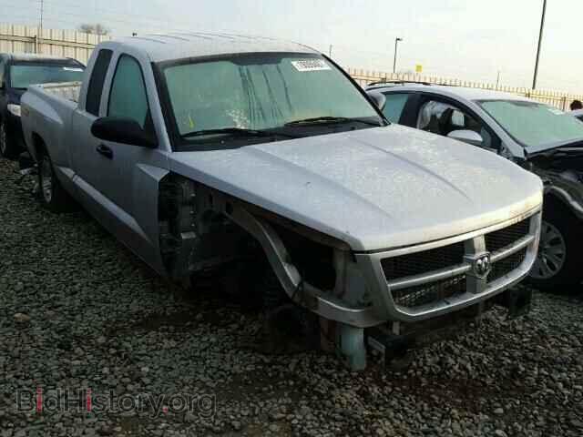 Photo 1D7HE32K68S528412 - DODGE DAKOTA 2008