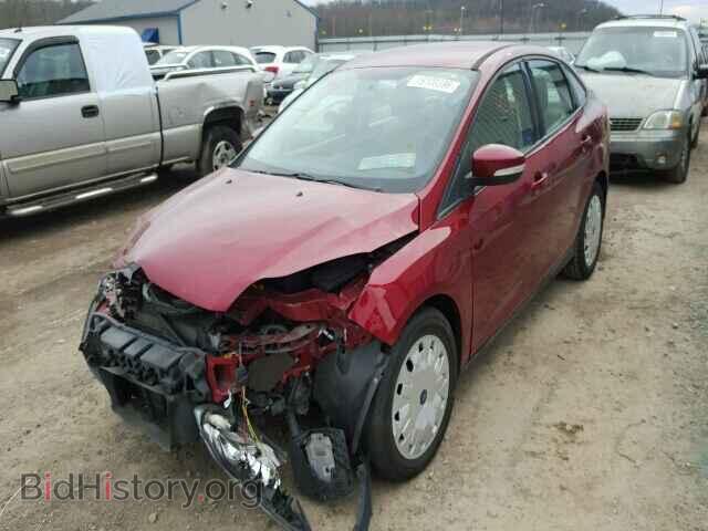 2013 FORD FOCUS - VIN: 1FADP3F24DL174784 - Фото 2
