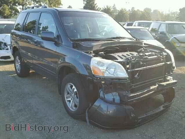 Фотография 2HKYF18655H534198 - HONDA PILOT 2005