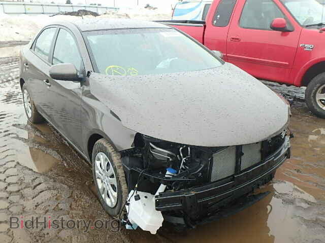 Фотография KNAFU4A24D5681484 - KIA FORTE 2013