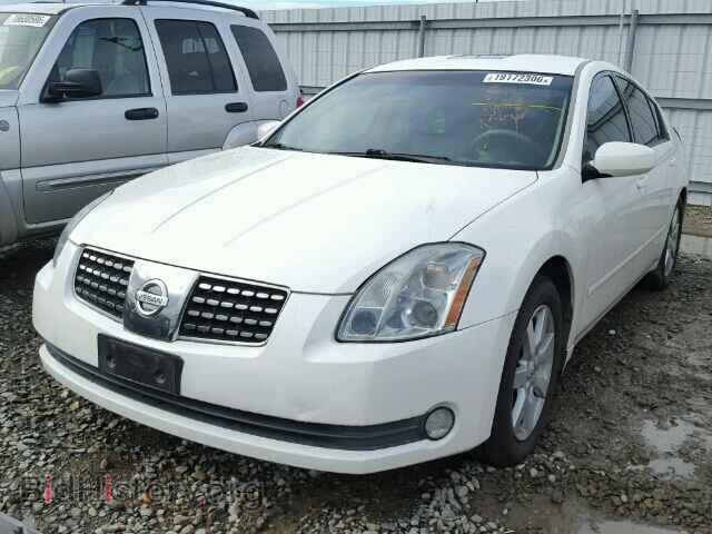 2005 NISSAN MAXIMA - VIN: 1N4BA41E65C817783 - Фото 2