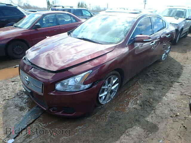 2009 NISSAN MAXIMA - VIN: 1N4AA51E89C825973 - Фото 2