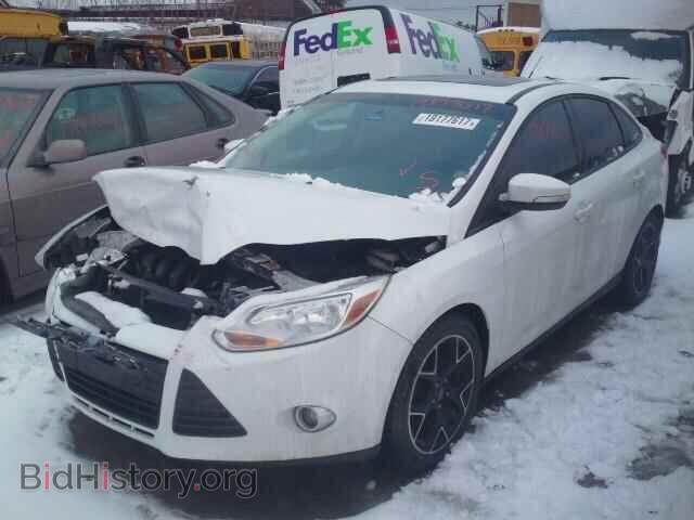 2013 FORD FOCUS - VIN: 1FADP3F24DL229833 - Фото 2