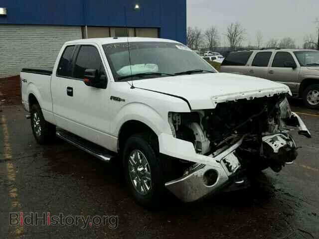 Фотография 1FTFX1EF2CFC32853 - FORD F150 2012