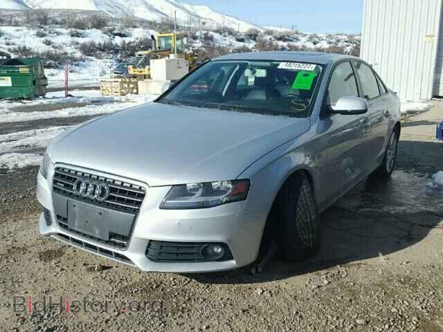 2010 AUDI A4 - VIN: WAUBFAFL7AN035442 - Фото 2