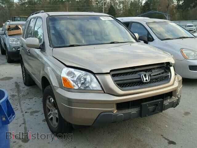 Photo 5FNYF18575B025106 - HONDA PILOT 2005