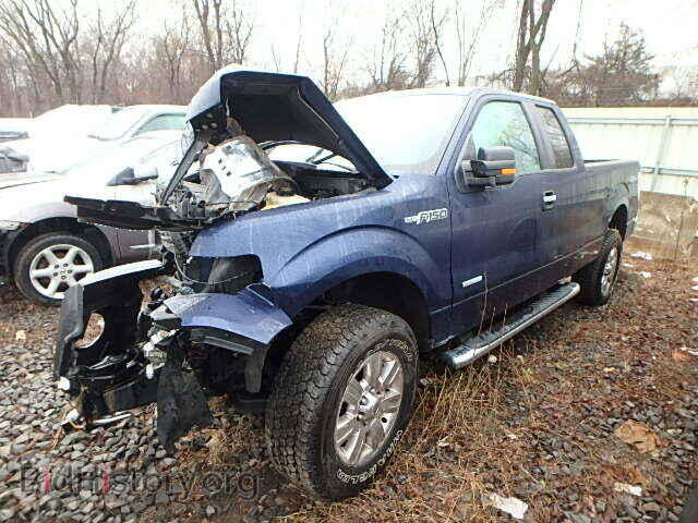 2011 FORD F150 - VIN: 1FTFX1ET7BFC01845 - Фото 2