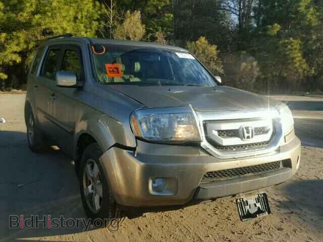 Фотография 5FNYF3H56BB033186 - HONDA PILOT 2011