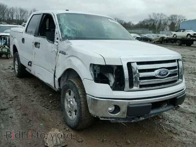 Фотография 1FTFW1ET7BFB07824 - FORD F150 2011
