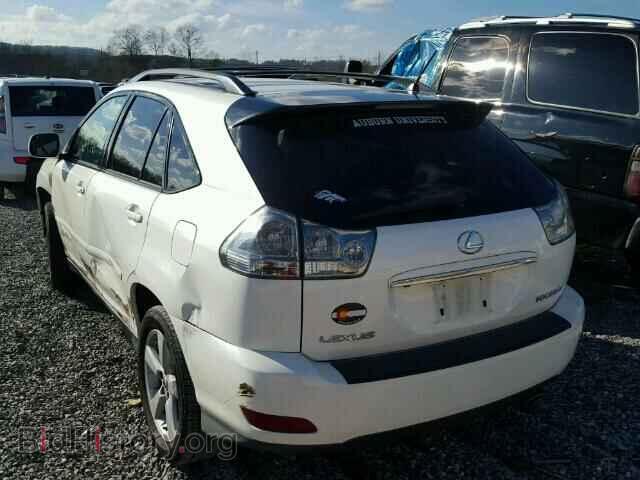 2005 LEXUS RX330 - VIN: 2T2GA31U85C036686 - Фото 3
