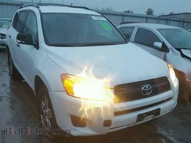 Фотография 2T3BF4DV1CW264672 - TOYOTA RAV4 2012