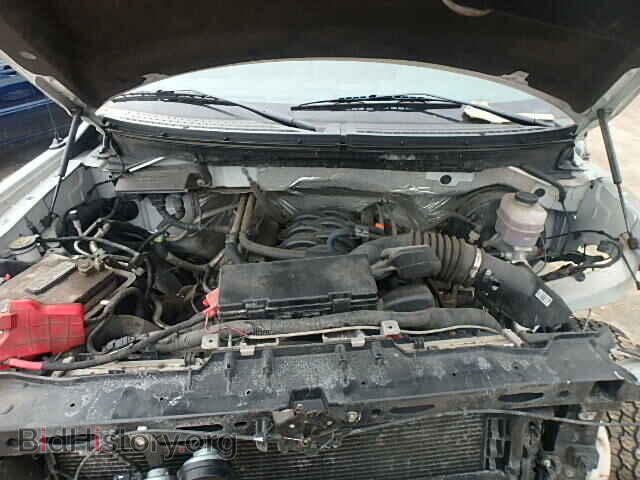 2012 FORD F150 - VIN: 1FTNF1CF5CKD67236 - Фото 7