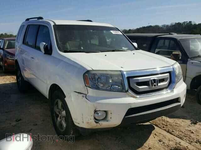 Фотография 5FNYF3H46AB009234 - HONDA PILOT 2010