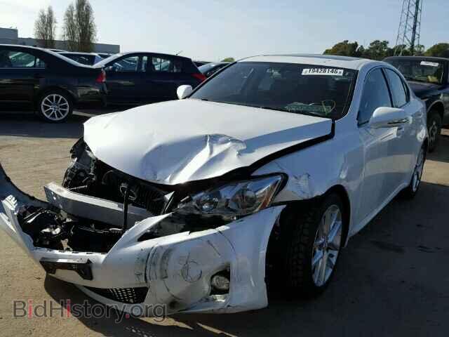 2011 LEXUS IS250 - VIN: JTHBF5C23B5144843 - Фото 2