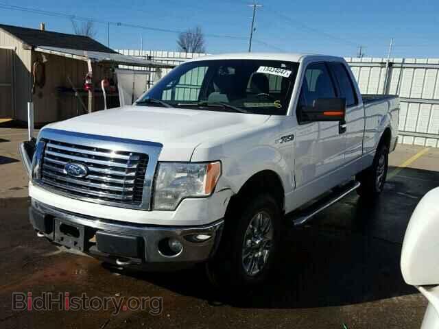 2011 FORD F150 - VIN: 1FTFX1EF5BFA55228 - Фото 2